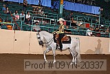 09yn-20337 proof