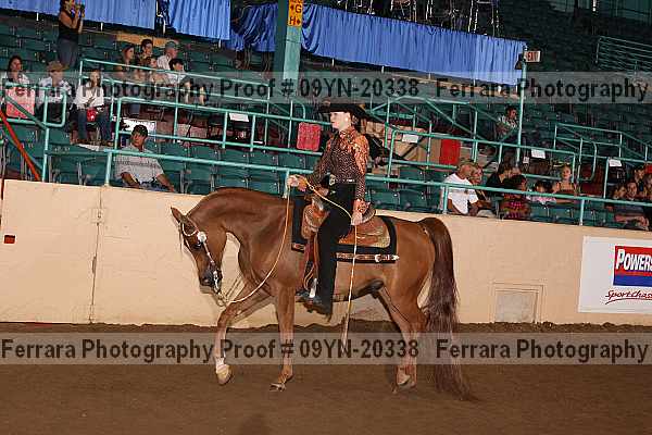 Proof 09yn-20338