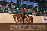 09yn-20338 proof