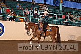 09yn-20340 proof