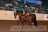 09yn-20341 proof