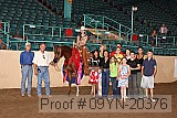 09yn-20376 proof