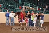 09yn-20378 proof