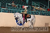 09yn-20414 proof