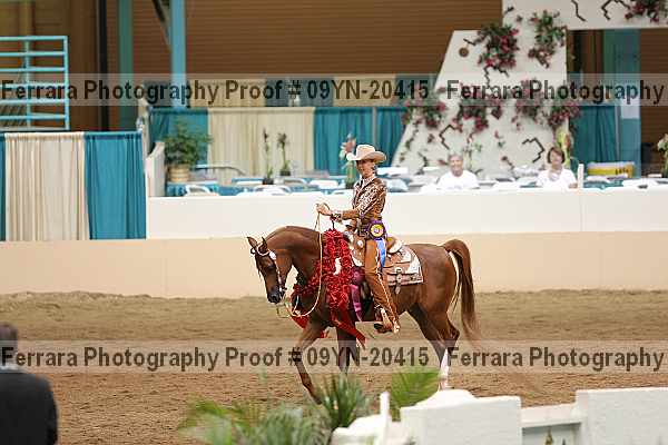Proof 09yn-20415