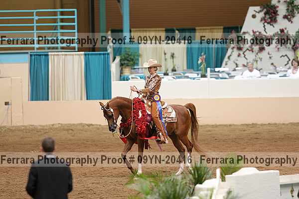 Proof 09yn-20416