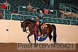 09yn-20421 proof