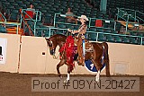 09yn-20427 proof