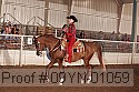 09yn-01059 proof