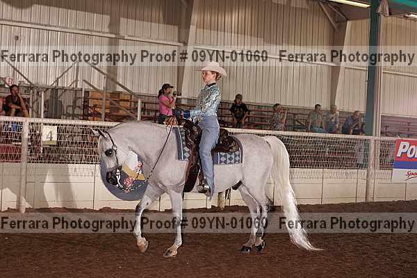 Proof 09yn-01060
