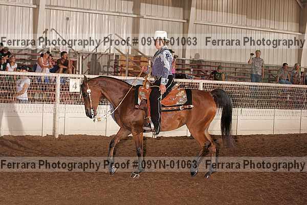 Proof 09yn-01063