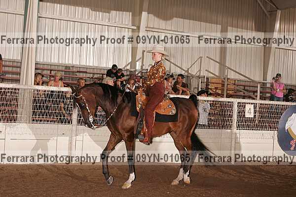 Proof 09yn-01065