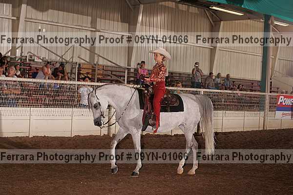 Proof 09yn-01066