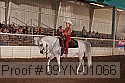 09yn-01066 proof