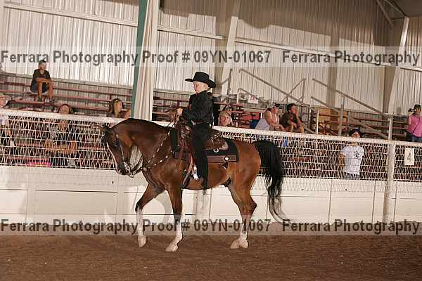 Proof 09yn-01067