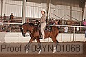 09yn-01068 proof