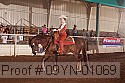 09yn-01069 proof