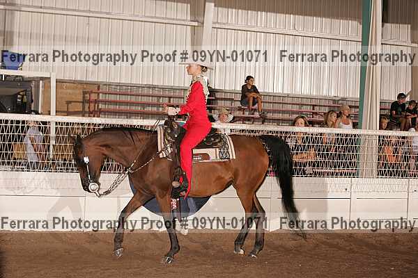 Proof 09yn-01071