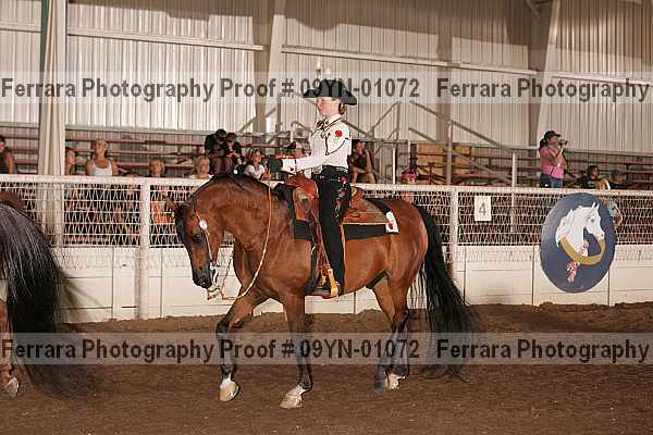 Proof 09yn-01072