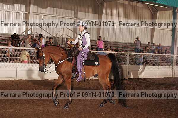 Proof 09yn-01073