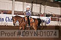 09yn-01074 proof