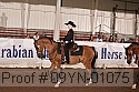 09yn-01075 proof