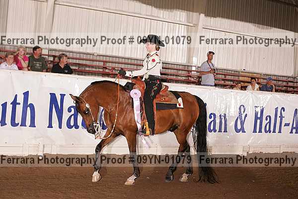Proof 09yn-01079