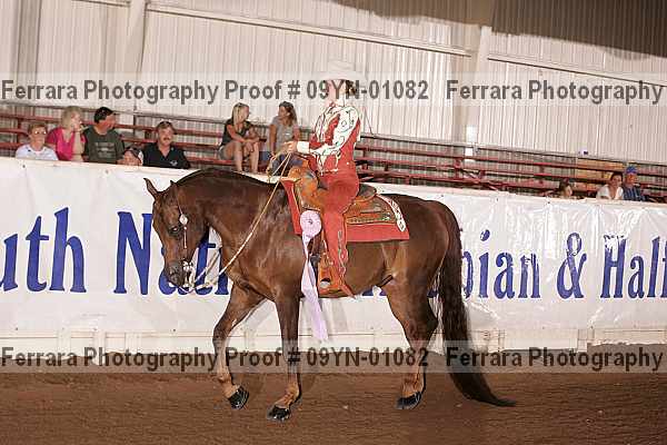 Proof 09yn-01082