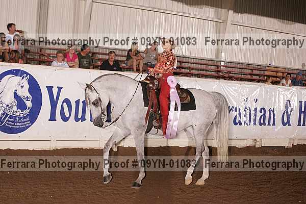 Proof 09yn-01083