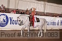 09yn-01083 proof