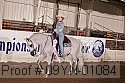 09yn-01084 proof