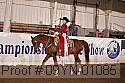 09yn-01085 proof