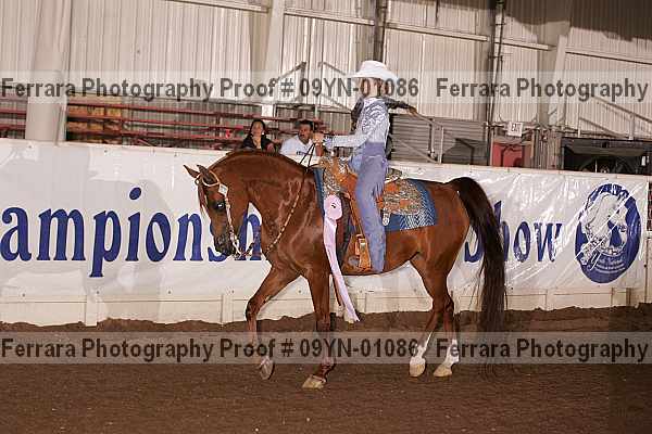 Proof 09yn-01086
