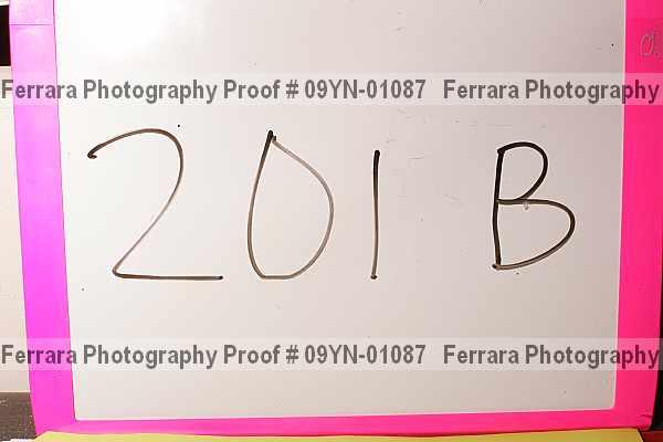 Proof 09yn-01087
