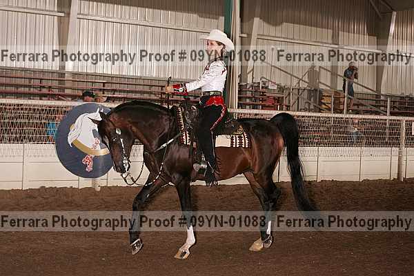 Proof 09yn-01088