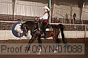 09yn-01088 proof