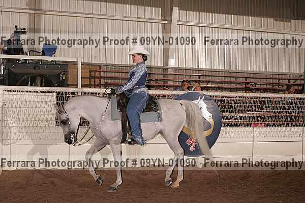 Proof 09yn-01090