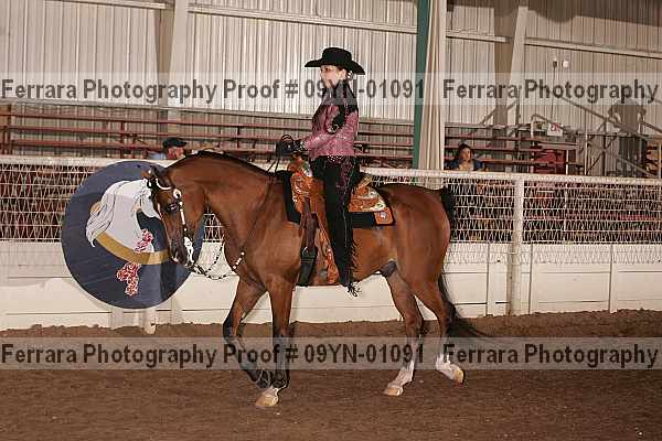 Proof 09yn-01091