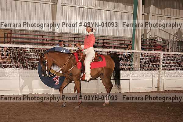 Proof 09yn-01093