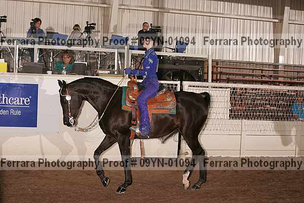 Proof 09yn-01094
