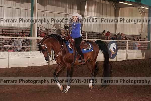 Proof 09yn-01095