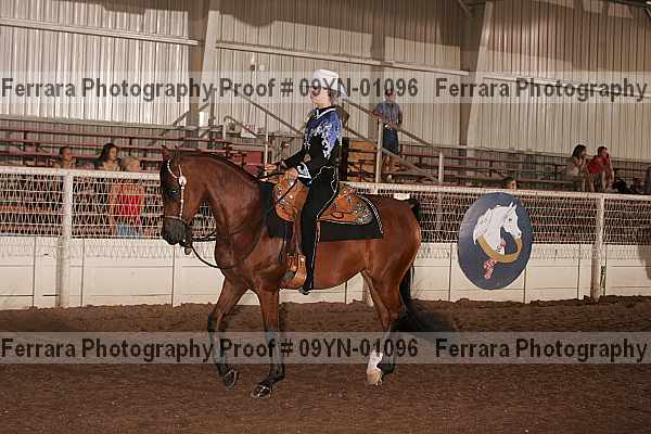 Proof 09yn-01096