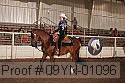 09yn-01096 proof