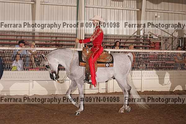 Proof 09yn-01098
