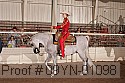 09yn-01098 proof