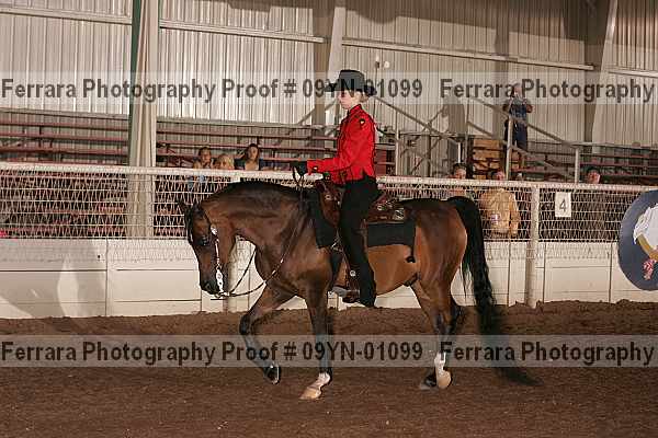 Proof 09yn-01099