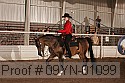 09yn-01099 proof
