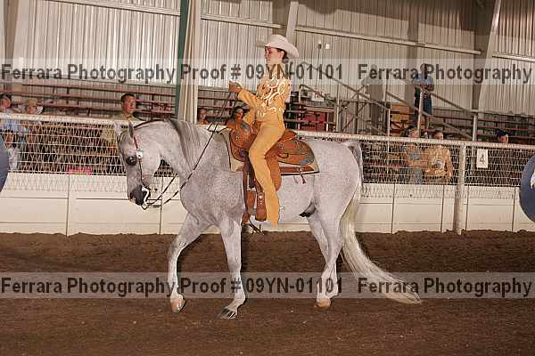 Proof 09yn-01101