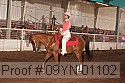 09yn-01102 proof