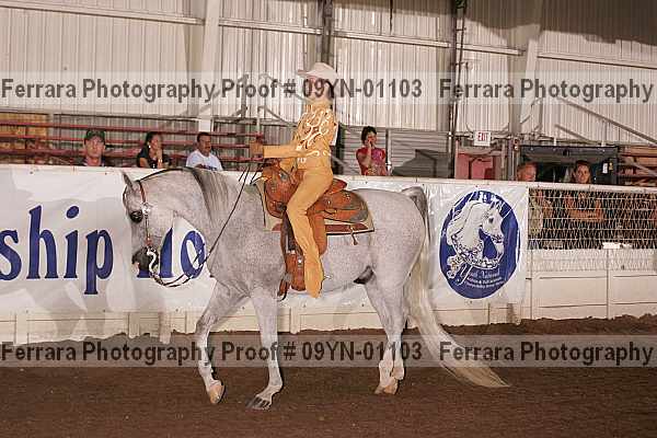 Proof 09yn-01103